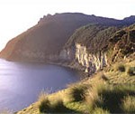 Fossil Cliffs Maria Island