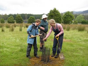 Sabine, Adrian and Maraika adding a stake Tyenna River site 2