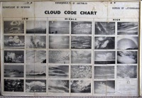 Cloud Chart from Meleleuca