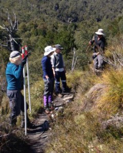 Erecting Snow Poles on the Dove Canyon Track