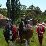 Santa and Clydesdales