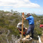 Two men installing a marker pole in the bush