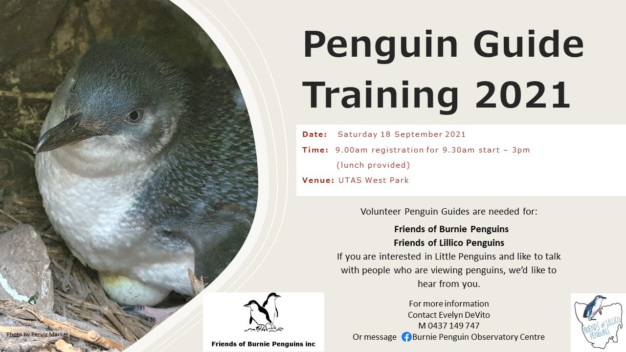 NW Tasmania Penguin-Guide Training