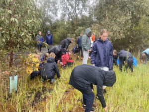 Wildcare Volunteer Discover Learn Program - Fahan group weeding Spanish Heath 2022